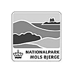 augmented_reality_4dscan_AR_denmark_nationalpark_mols_bjerge